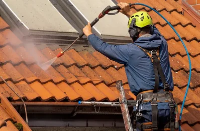 Démoussage et hydrofuge de toiture à Hallering
